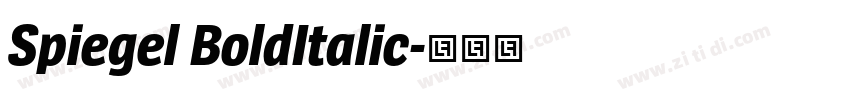 Spiegel BoldItalic字体转换
